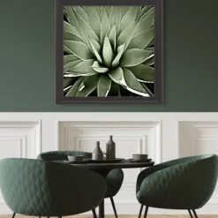 Framed Art-Kirkland's Home Green Succulent Iii Framed Canvas Art Green/White/Black