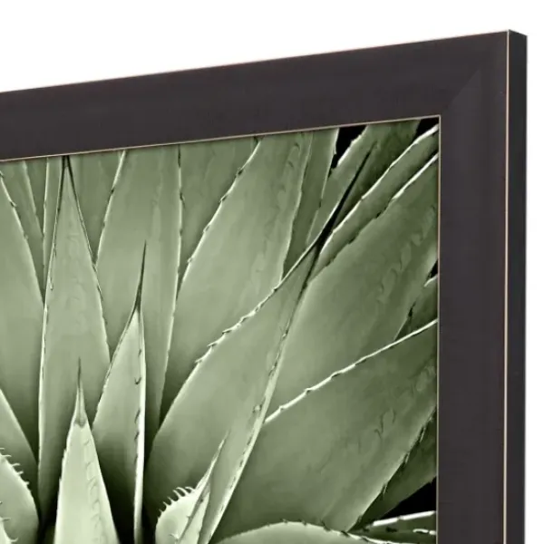 Framed Art-Kirkland's Home Green Succulent Iii Framed Canvas Art Green/White/Black