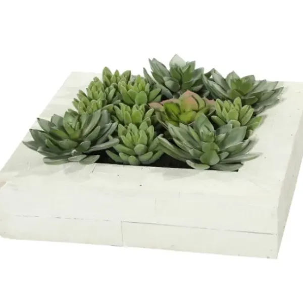 Arrangements & Greenery-Kirkland's Home Green Succulents In White Rustic Planter Green/White