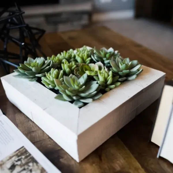 Arrangements & Greenery-Kirkland's Home Green Succulents In White Rustic Planter Green/White