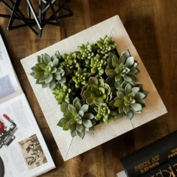 Arrangements & Greenery-Kirkland's Home Green Succulents In White Rustic Planter Green/White