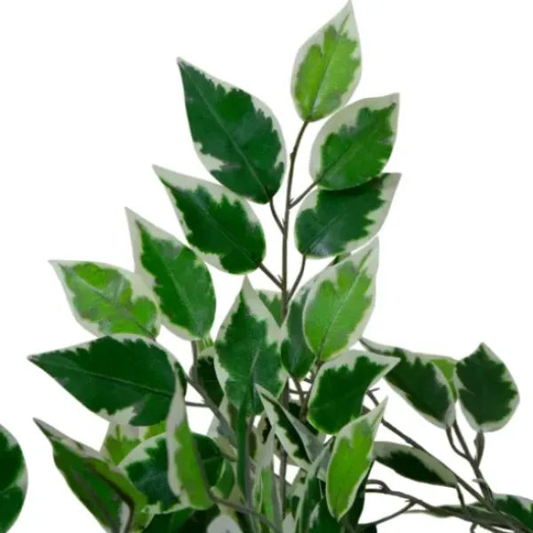 Trees & Topiaries-Kirkland's Home Green Variegated Leaf Ficus Tree