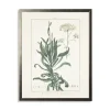 Framed Art-Kirkland's Home Greenery Botanical Ii Pewter Framed Art Print Ivory