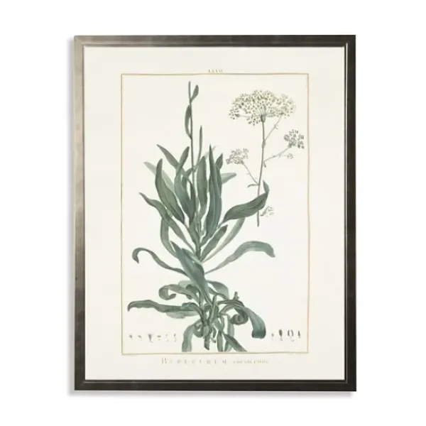 Framed Art-Kirkland's Home Greenery Botanical Ii Pewter Framed Art Print Ivory