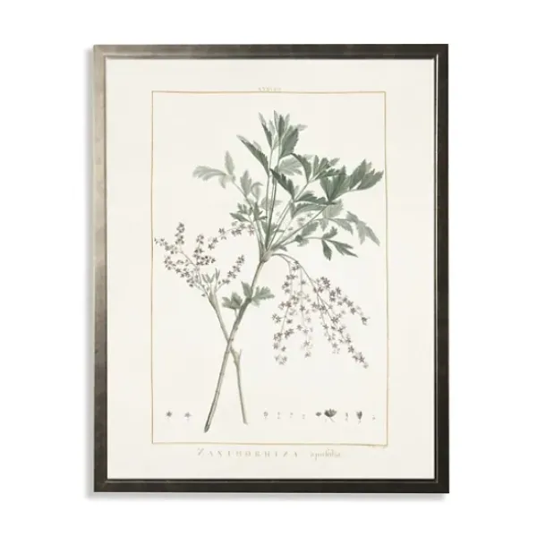 Framed Art-Kirkland's Home Greenery Botanical Iv Pewter Framed Art Print Ivory