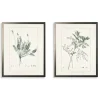 Framed Art-Kirkland's Home Greenery Botanicals I Framed Art Prints, Set Of 2 Ivory/Green