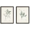 Framed Art-Kirkland's Home Greenery I Framed Art Prints, Set Of 2 Ivory