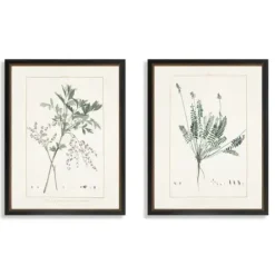 Framed Art-Kirkland's Home Greenery I Framed Art Prints, Set Of 2 Ivory