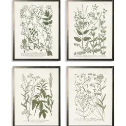 Framed Art-Kirkland's Home Greenery On Cream Back Framed Art Prints, Set Of 4 Green/Ivory