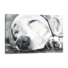 Canvas Art-Kirkland's Home Happy Dreams Dog Giclee Canvas Art Print, 40X26 Gray
