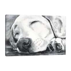 Canvas Art-Kirkland's Home Happy Dreams Dog Giclee Canvas Art Print, 40X26 Gray