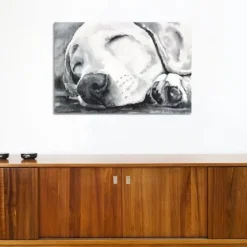 Canvas Art-Kirkland's Home Happy Dreams Dog Giclee Canvas Art Print, 40X26 Gray