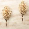 Stems & Bouquets-Kirkland's Home Harvest Berry Bundles, Set Of 2 Ivory