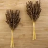 Stems & Bouquets-Kirkland's Home Heather Wheat Bundles, Set Of 2 Brown