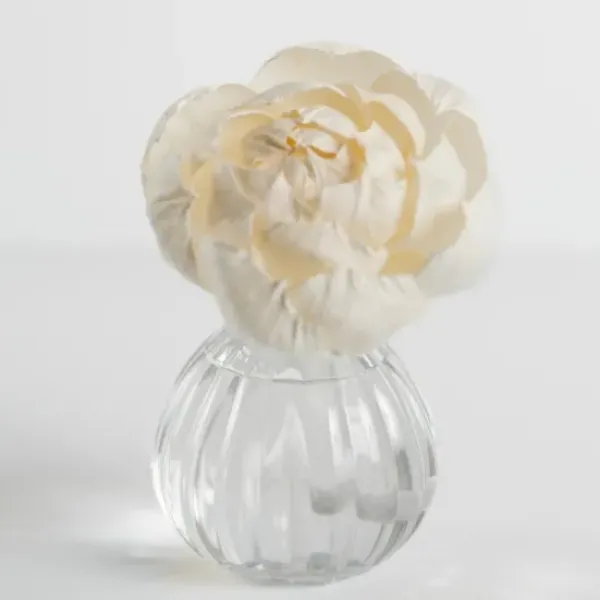 Home Fragrance-Kirkland's Home Hello Gorgeous Flower Petal Diffuser Set
