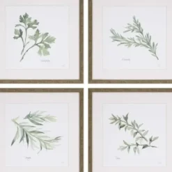 Framed Art-Kirkland's Home Herbs 4-Pc. Gold Framed Art Print Set Green
