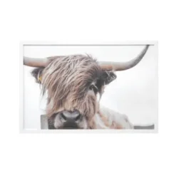 Framed Art-Kirkland's Home Highland Cow Framed Art Print Brown/White