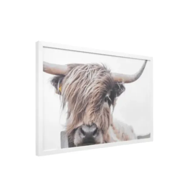 Framed Art-Kirkland's Home Highland Cow Framed Art Print Brown/White