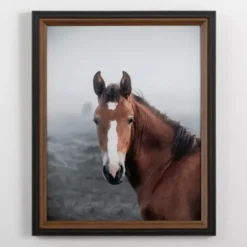 Framed Art-Kirkland's Home Highland Horse Framed Art Print Brown/Black