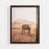 Framed Art-Kirkland's Home Horse On Range Framed Art Print Brown/Tan
