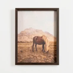 Framed Art-Kirkland's Home Horse On Range Framed Art Print Brown/Tan