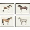 Framed Art-Kirkland's Home Horses Framed Art Prints, Set Of 4 White