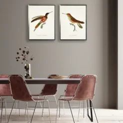 Framed Art-Kirkland's Home Hummingbirds I Framed Art Prints, Set Of 2 Multi