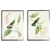 Framed Art-Kirkland's Home Hummingbirds On Flowers 2-Pc. Framed Art Print Set Ivory/Green