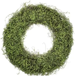 Wreaths-Kirkland's Home Intertwined Vine S Wreath Green