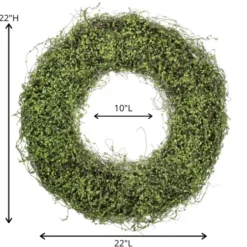 Wreaths-Kirkland's Home Intertwined Vine S Wreath Green