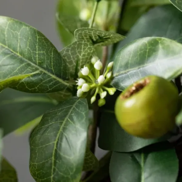 Wreaths-Kirkland's Home Israeli Ruscus Pods Wreath Green