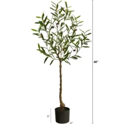 Trees & Topiaries-Kirkland's Home Italian Olive Tree In Black Nursery Planter, 4 Ft.