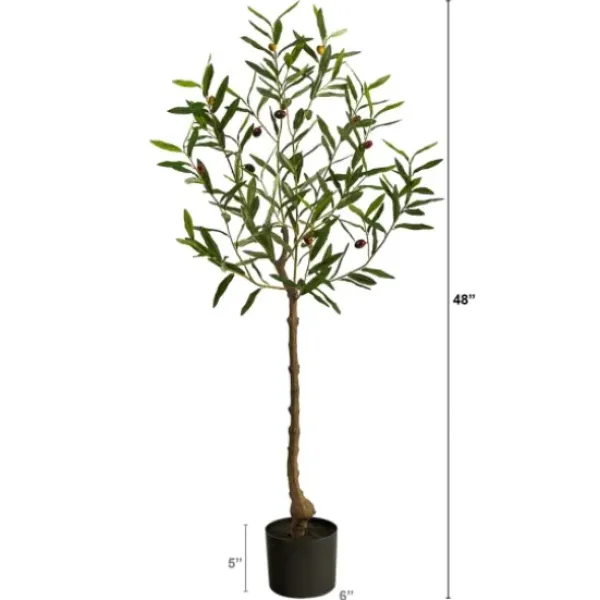 Trees & Topiaries-Kirkland's Home Italian Olive Tree In Black Nursery Planter, 4 Ft.