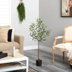 Trees & Topiaries-Kirkland's Home Italian Olive Tree In Black Nursery Planter, 4 Ft.
