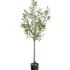 Trees & Topiaries-Kirkland's Home Italian Olive Tree In Black Nursery Planter, 5 Ft.