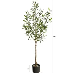Trees & Topiaries-Kirkland's Home Italian Olive Tree In Black Nursery Planter, 5 Ft.
