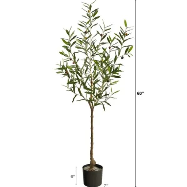 Trees & Topiaries-Kirkland's Home Italian Olive Tree In Black Nursery Planter, 5 Ft.