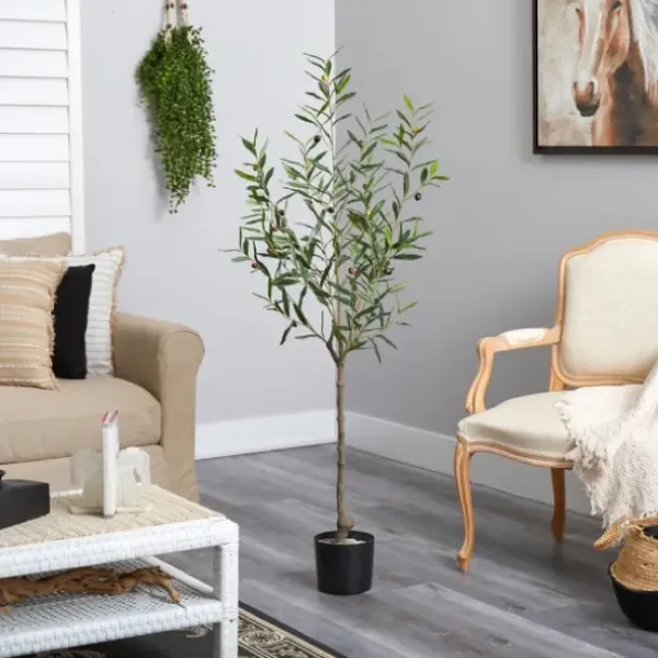 Trees & Topiaries-Kirkland's Home Italian Olive Tree In Black Nursery Planter, 5 Ft.