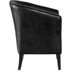 Accent Chairs-Kirkland's Home Jack Barrel Back Club Chair Black