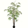 Trees & Topiaries-Kirkland's Home Japanese Bamboo Tree In Black Planter, 5 Ft.