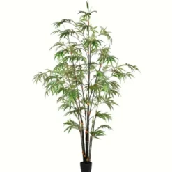 Trees & Topiaries-Kirkland's Home Japanese Bamboo Tree In Black Planter, 6 Ft.