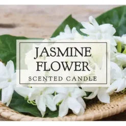 Candles-Kirkland's Home Jasmine Flower Votive Candles, Set Of 8 White