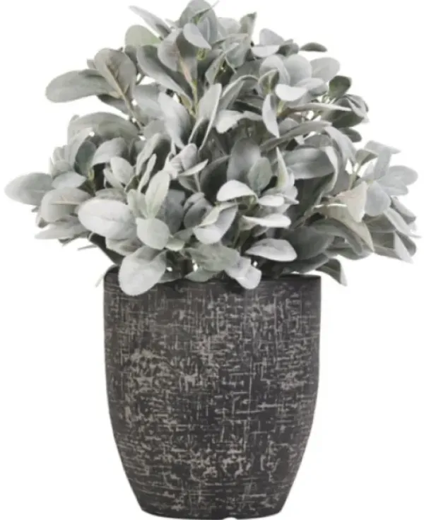 Arrangements & Greenery-Kirkland's Home Lamb'S Ear Arrangement In Textured Black Planter Green/Black