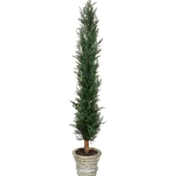 Trees & Topiaries-Kirkland's Home Large Cedar Tree In Mossy White Planter, 60 In.