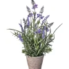 Arrangements & Greenery-Kirkland's Home Lavender Plant In Speckled Cement Planter Purple/Green