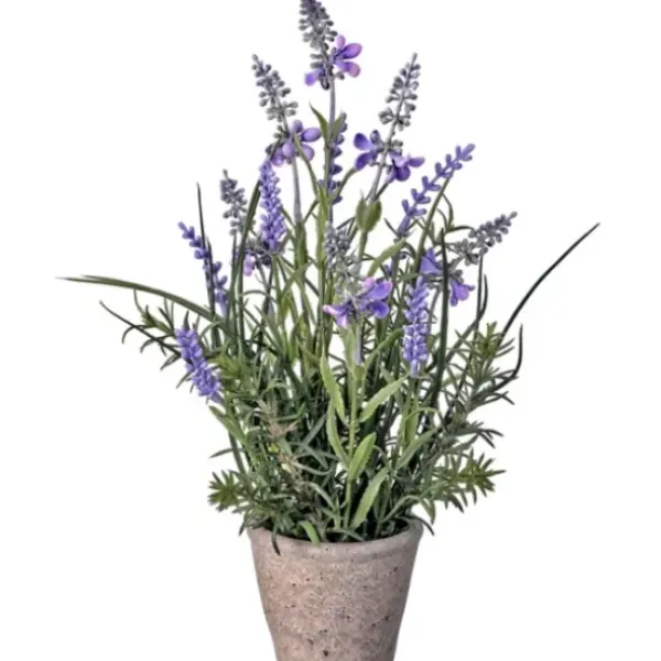Arrangements & Greenery-Kirkland's Home Lavender Plant In Speckled Cement Planter Purple/Green