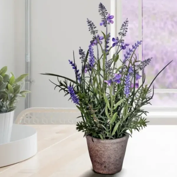 Arrangements & Greenery-Kirkland's Home Lavender Plant In Speckled Cement Planter Purple/Green
