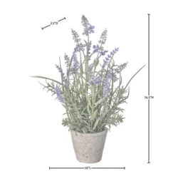 Arrangements & Greenery-Kirkland's Home Lavender Plant In Speckled Cement Planter Purple/Green