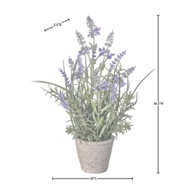Arrangements & Greenery-Kirkland's Home Lavender Plant In Speckled Cement Planter Purple/Green