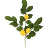 Stems & Bouquets-Kirkland's Home Lemon Leaf Spray Stems, Set Of 4 Yellow/Green